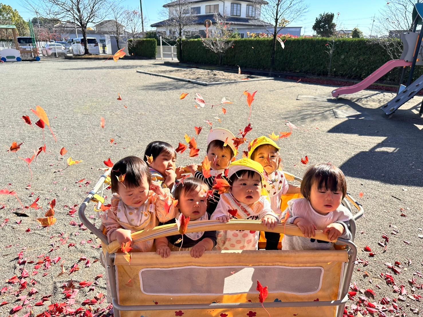 一日の流れ